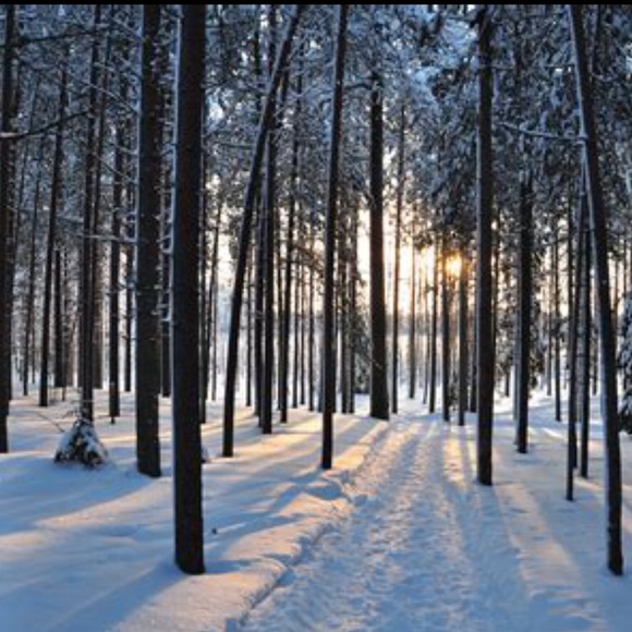 Meet your Posher, Lisa ann - Picture 1 of 1